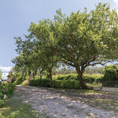 Amazing Apartment In Giano Dellumbria Pg Giano dellʼUmbria Екстериор снимка